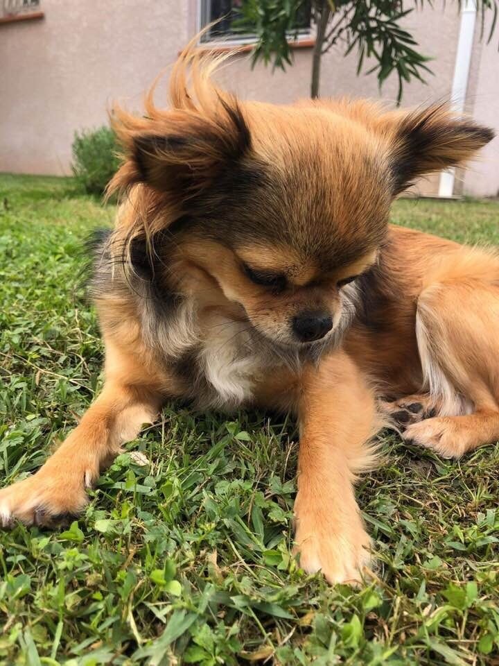 Lou Des Minibouilles